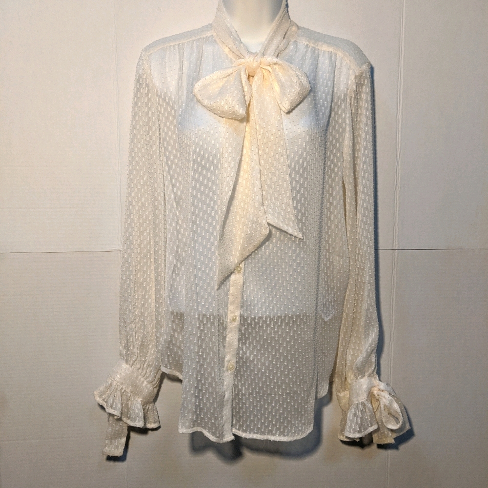 Banana Republic Sheer Button-up Blouse